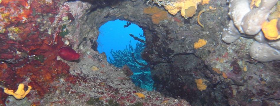 underwater landscape Mediterranean Sea